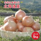 [ предварительный заказ распродажа 9 месяц сверху . отправка ]JA..... Hokkaido производство север видеть лук L шар 5kg примерно 25 штук входит производство количество Япония один .. еда гурман овощи подарок бесплатная доставка 