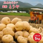 [ предварительный заказ распродажа 9 месяц сверху . отправка ]JA..... Hokkaido производство север видеть желтый . картофель 5kg.... еда гурман овощи подарок бесплатная доставка . покупка 
