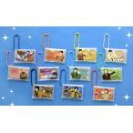 フクヤ INI みてコレ 全11種セット ガチャガチャ カプセルトイ ガチャ