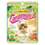  can ro can temi-nyagmiko кошка ne...60g×6 пакет срок годности 2026.9.30 почтовая отправка .. доставка 