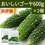 おいしいゴーヤ 600g×2個 ゴーヤ 粉