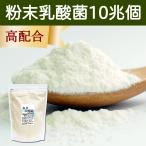 粉末乳酸菌 10兆個 1kg 乳酸菌 サプリ