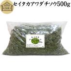 乾燥 セイタカアワダチソウ 500g 無