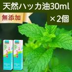 天然ハッカ油30ml×2個 スプレー式 ペパーミント商会 薄荷 オイル 無添加