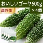 おいしいゴーヤ 600g×4個 ゴーヤ 粉