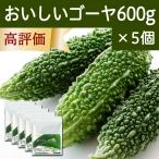 おいしいゴーヤ 600g×5個 ゴーヤ 粉