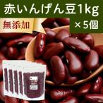 赤 いんげん豆 1kg×5個 金時豆 インゲン豆 レッドキドニー ビーンズ