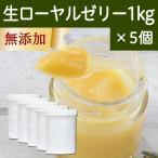 生ローヤルゼリー 1kg×5個 冷凍 ロイ