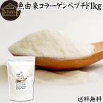 魚コラーゲンペプチド 1kg コラーゲン 粉末 パウダー サプリ 食材