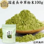 長命草粉末 100g 長命草 パウダー 青汁 粉末 ボタンボウフウ 送料無料
