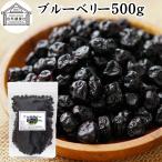 ブルーベリー 500g ドライ 乾燥 アントシアニン ポリフェノール