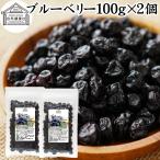 ブルーベリー 100g×2個 ドライ 乾燥 アントシアニン ポリフェノール