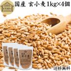 . пшеница 1kg×4 шт все шарик пшеница местного производства Hokkaido производство ..... для бизнеса клетчатка 