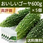 おいしいゴーヤ 600g×5個 ゴーヤ 粉