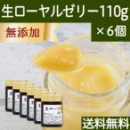 ローヤルゼリー 110g×6個 生ローヤルゼリー サプリ 冷凍 ロイヤルゼリー