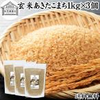 玄米 あきたこまち 1kg�