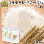小麦粉 国産 1kg×3個 薄力粉 業務用 