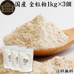全粒粉 1kg×3個 小麦粉 国産 強力粉 