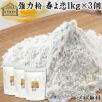 春よ恋 強力粉 1kg×3個 小麦粉 国産 