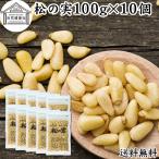 松の実 100g×10個 無添加 無塩 おすす