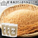 玄米 あきたこまち 1kg�