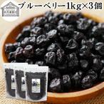 ショッピングブルーベリー ブルーベリー 1kg×3個 ドライ 乾燥 アントシアニン ポリフェノール