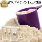 玄米プロテイン 1kg×3個 ブラウンライス プロテイン ライス 無添加