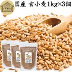 . пшеница 1kg×3 шт все шарик пшеница местного производства Hokkaido производство ..... для бизнеса клетчатка 