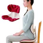  поясница .pita. прекрасный осанка стул осанка корректирующий сиденье "zaisu" стол Work осанка поясница. боль подушка стул стул .. корректирующий кошка . корректирующий кошка . меры люмбаго предотвращение люмбаго меры 