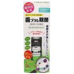 歯ブラシ除菌スプレー 35ml 歯ブラシ 除菌 スプレー 歯ブラシ除菌 歯ブラシ用洗浄剤 大人用歯ブラシ 子供用歯ブラシ 電動歯ブラシ 舌ブラシ