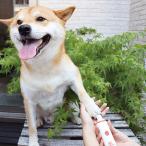  для домашних животных электрический коготь триммер кусачки для ногтей коготь уход сопутствующие товары для домашних животных . принадлежности для ремонта и ухода домашнее животное маленький размер средний большой собака кошка коготь полировка батарея беспроводной 