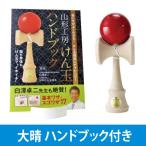 福祉けん玉 大晴 ハンドブックセット けんだま けん玉 日本けん玉協会認定 福祉用けん玉 福祉用 福祉 日本 伝統玩具 協会認定 KENDAMA スポーツ