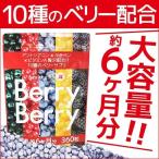 ブルーベリーマキベリービルベリーア...