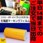 カッティング用シート　ゴールデン