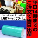 カッティング用シート　ミント ス�