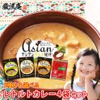 ポイント消化 5種から選べる レトルトカレー 4袋セット アジアングルメ紀行シリーズ ポイント利用 お試し商品 サンプル