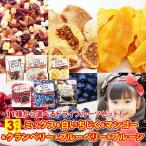 ポイント消化ドライフルーツドライフ...