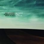 Jeff Denson / Romain Pilon / Brian Blade / Between Two Worlds 輸入盤 〔CD〕