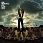 Noel Gallagher's High Flying Birds / Blue Moon Rising   〔LP〕