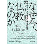 なぜ今、仏教なのか 瞑想・マインドフルネス・悟りの科学 ハヤカワ文庫NF / ロバート・ライト  〔文庫〕
