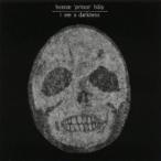 Bonnie Prince Billy ボニープリンスビリー / I See A Darkness  〔LP〕
