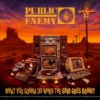 Public Enemy パブリックエナミー / What You Gonna Do When The Grid Goes Down? 輸入盤 〔CD〕