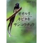 オオルリ・キビタキ・サンコウチョウ BIRDER Special / BIRDER編集部  〔本〕