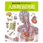 3人体断面図鑑 輪切り図鑑クロスセクション / スティーブン・ビースティー  〔図鑑〕