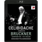 Bruckner ブルックナー / 交響曲第7番　セルジウ・チェリビダッケ＆ミュンヘン・フィル（1990東京ライヴ）  〔BLU