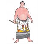 相撲絵師 琴剣大相撲イラスト集 / 琴剣淳弥 〔本〕