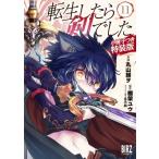 転生したら剣でした 11 小冊子つき特装版 バーズコミックス / 丸山朝ヲ  〔コミック〕