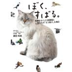 ぼく、すばる。 両脚をなくした保護猫と人間たちの「ネコ助け」な毎日 / 勝田珠美 (ニャン友ねっとわーく北