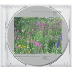 Kazufumi Kodama &amp; Undefined / 2 Years / 2 Years in Silence (CD)