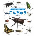 ko............../ Maruyama . выгода ( иллюстрированная книга )